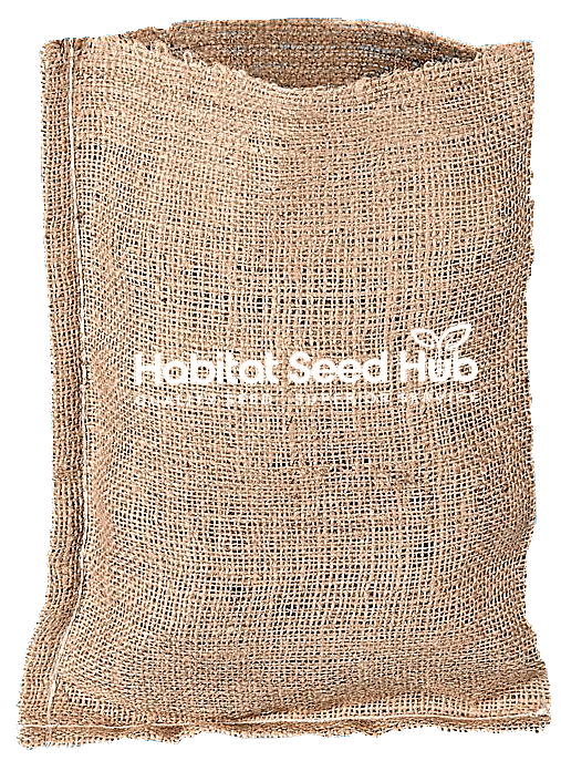 Seed Bag